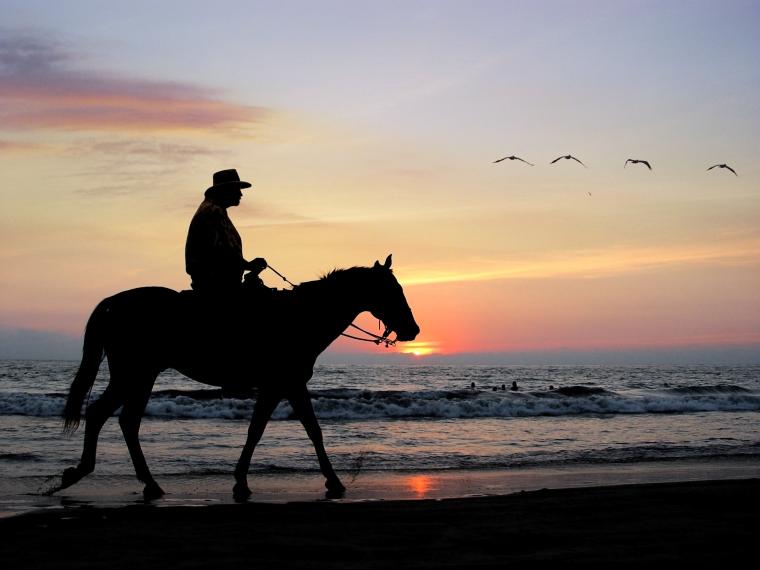 cowboy riding a horse at sunset on a beach
