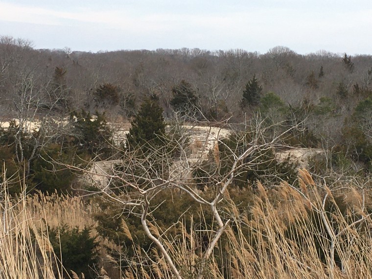 the area where dredge water snakes through in making its way back to the canal.