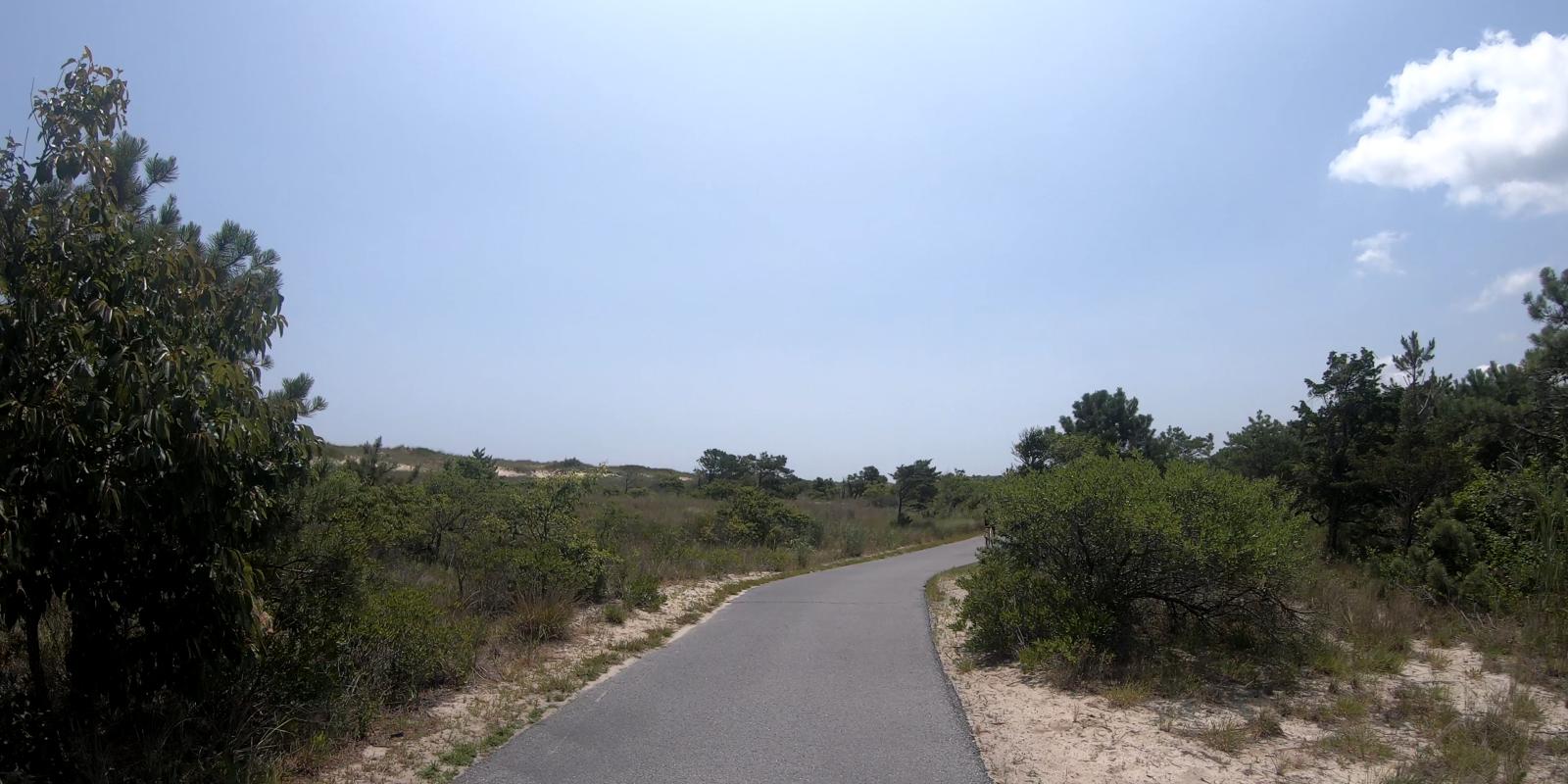 Bike Path Cape Henlopen