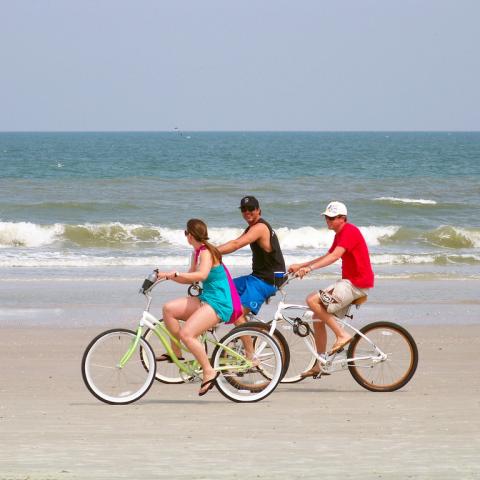 Three bicyclists ride on the beach