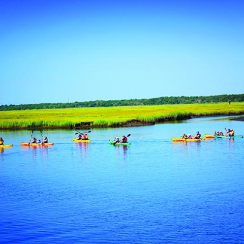 kayakers paddle through Cape May County in search of birds