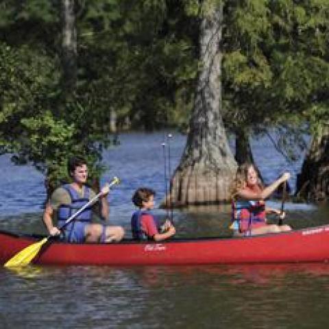 Canoeing at Trap Pond State Park near Lewes