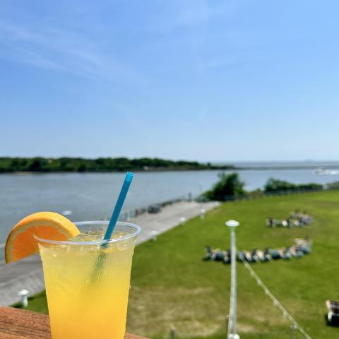 Orange Crush looking over the Cape May Green