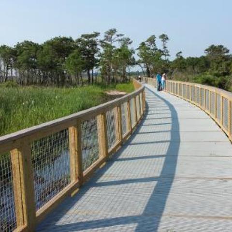 Bike trail in Delaware State Park