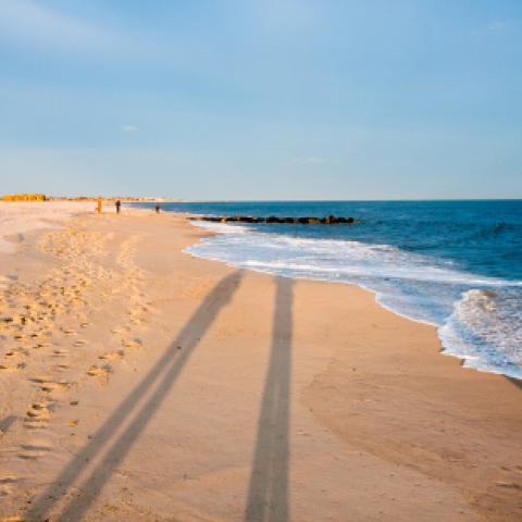 View of the beach in Delaware