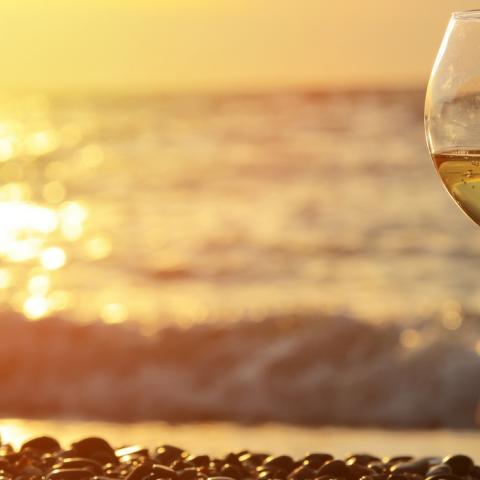 Drinking On The Beach