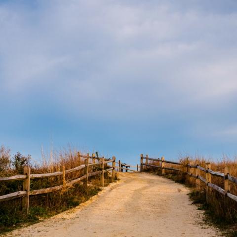 Cape May Beach Entrance