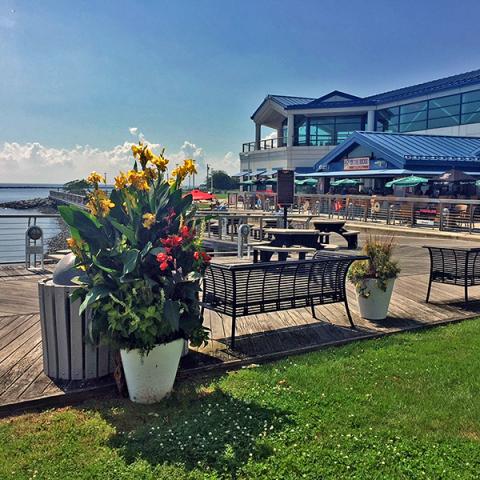 the Cape May terminal grounds at the Cape May-Lewes Ferry in Cape May, NJ