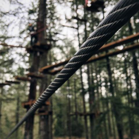 close up of rope at the Tree to Tree Adventure Park