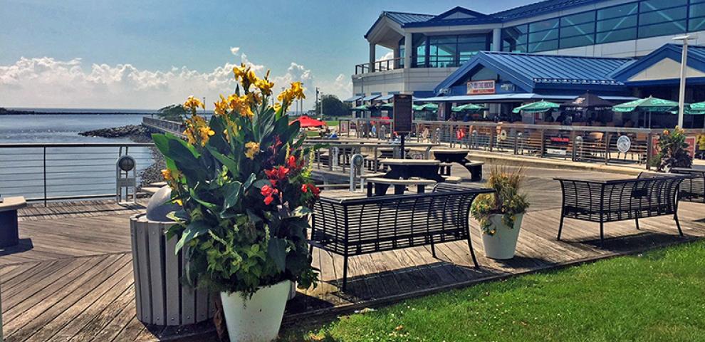 the Cape May terminal grounds at the Cape May-Lewes Ferry in Cape May, NJ