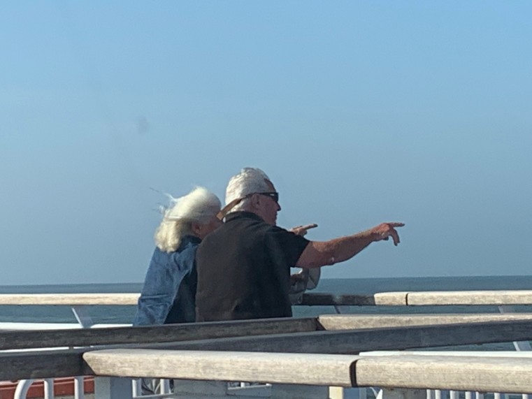 Ferry Facts: 2020 Goals