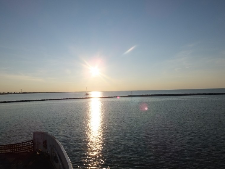 Ferry Facts: In the Face of Covid-19