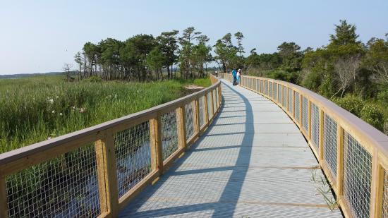 Bike trail in Delaware State Park