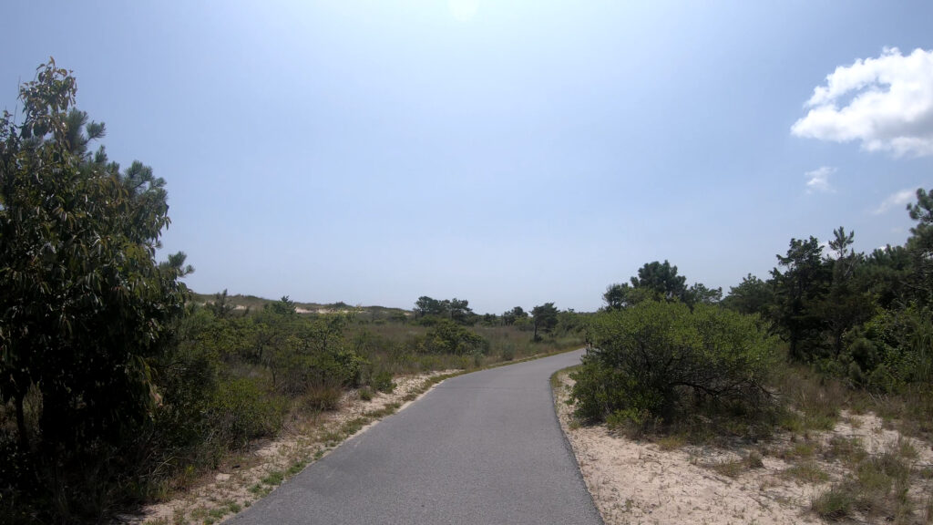The bike path of Cape Henlopen State Park