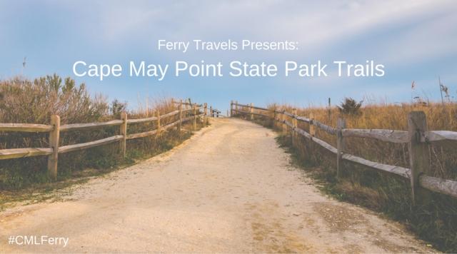Image of the entrance to a beach in Cape May, NJ