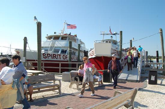Cape May Whale Watcher