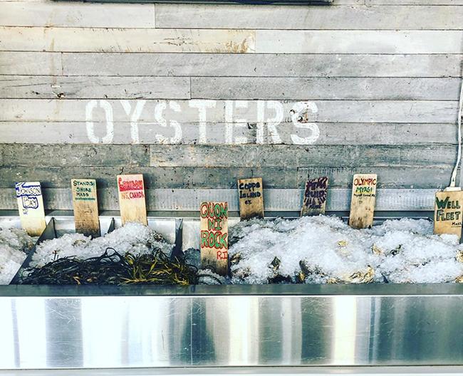 Fresh oysters in ice