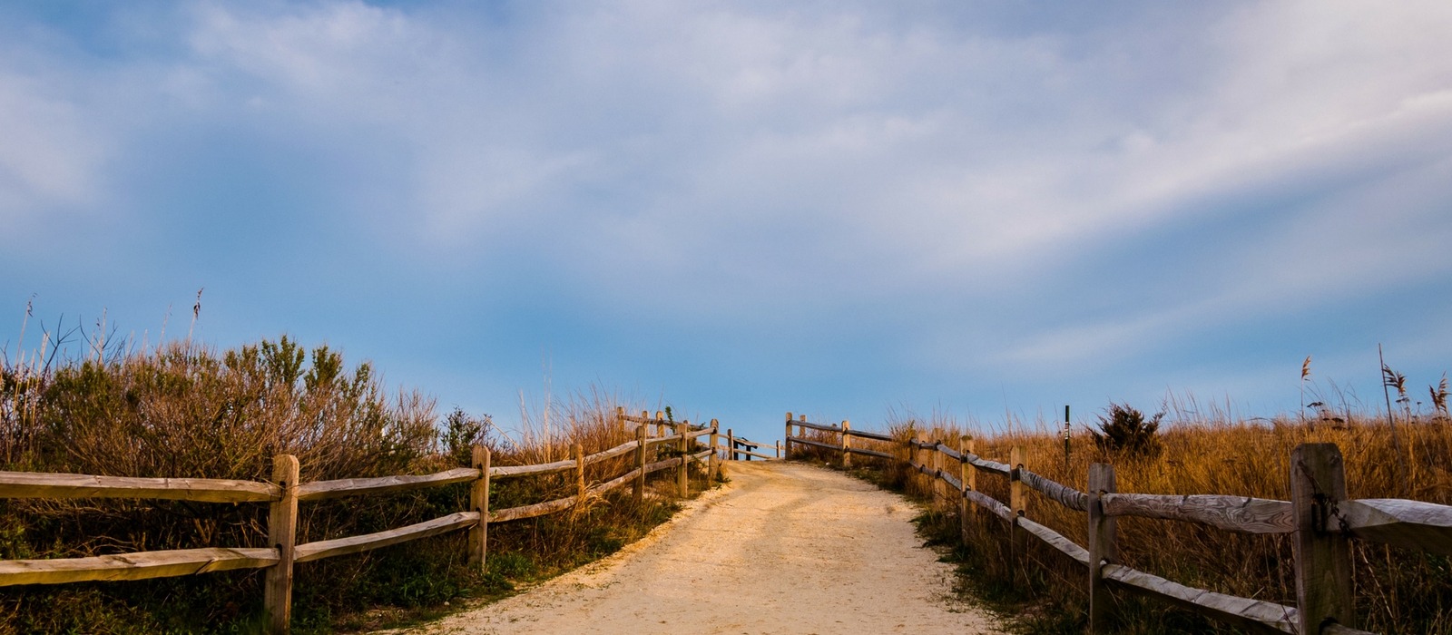 Experience Cape May in September