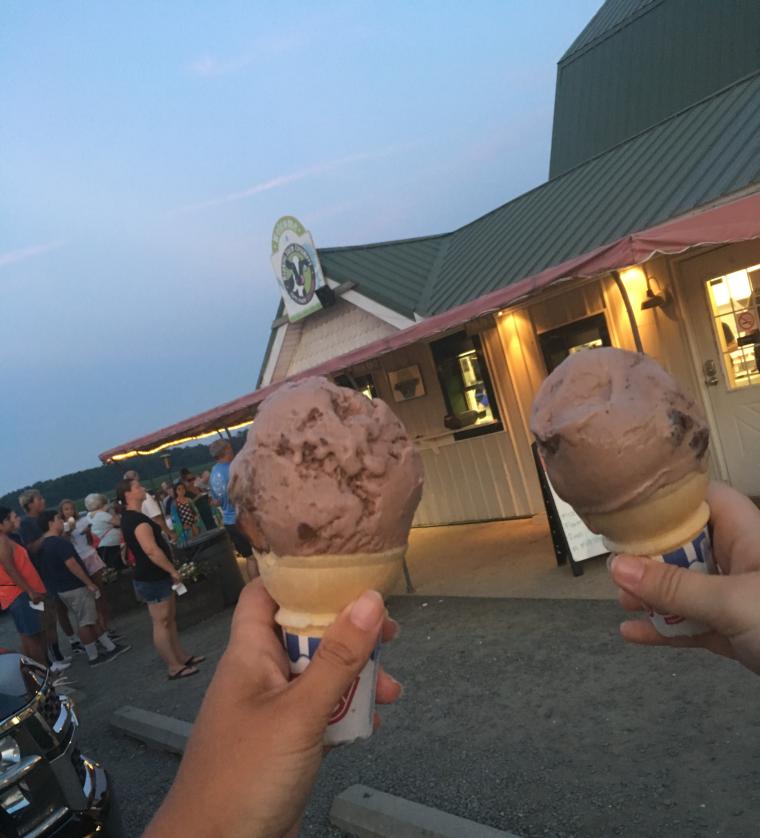 Two chocolate ice-cream cones held up for the camera