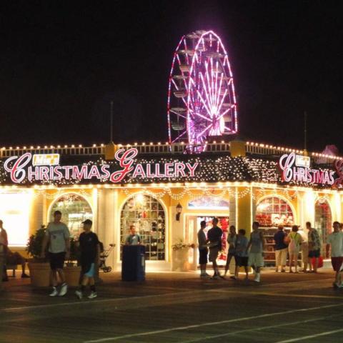 Mia's Christmas Gallery