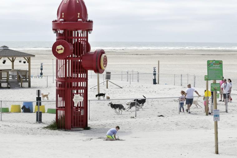 Dog park with giant fire hydrant sculpture on the beach in Wildwood, NJ