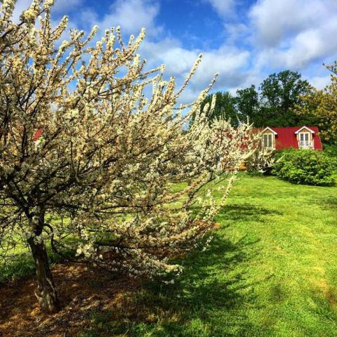 Willow Creek Winery Willow Creek Winery