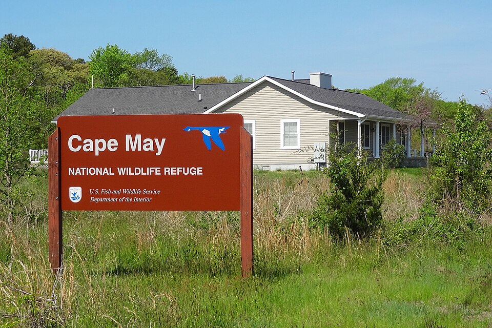 Entrance sign for the Cape May National Wildlife Refuge, U.S. Fish and Wildlife Service, surrounded by native vegetation in Cape May, NJ. Photo by Zeete (https://commons.wikimedia.org/wiki/File:Cape_May_NWR_-_Office.jpg) , CC BY-SA 4.0 (https://creativecommons.org/licenses/by-sa/4.0) , via Wikimedia Commons.