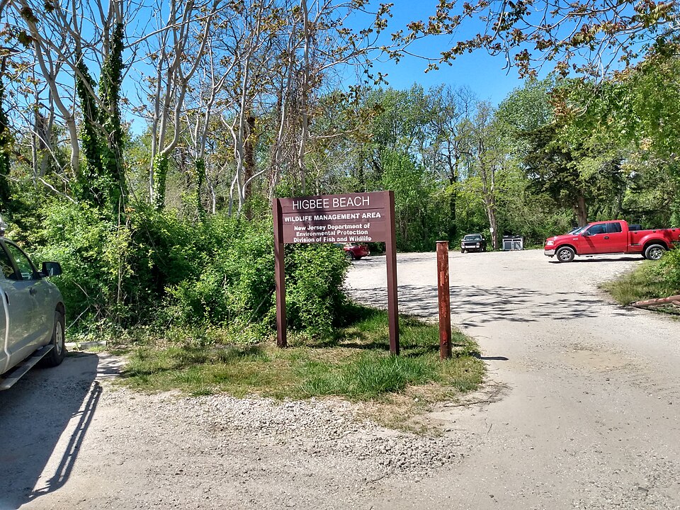 Entrance sign and parking area at Higbee Beach Wildlife Management Area in Cape May, NJ, one of the region's most popular birding and sunrise destinations. Photo by Editorofthewiki (https://commons.wikimedia.org/wiki/File:Higbee_Beach_sign.jpg) , CC BY-SA 4.0 (https://creativecommons.org/licenses/by-sa/4.0) , via Wikimedia Commons.