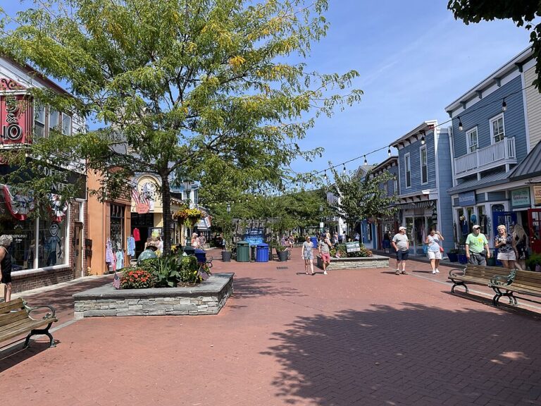 Pedestrians walking along the brick-paved Washington Street Mall lined with colorful shops and mature shade trees in Cape May, NJ. Photo by Dough4872 (https://commons.wikimedia.org/wiki/File:Washington_Street_Mall_EB_past_Decatur_Street.jpeg) , CC BY-SA 4.0 (https://creativecommons.org/licenses/by-sa/4.0) , via Wikimedia Commons.