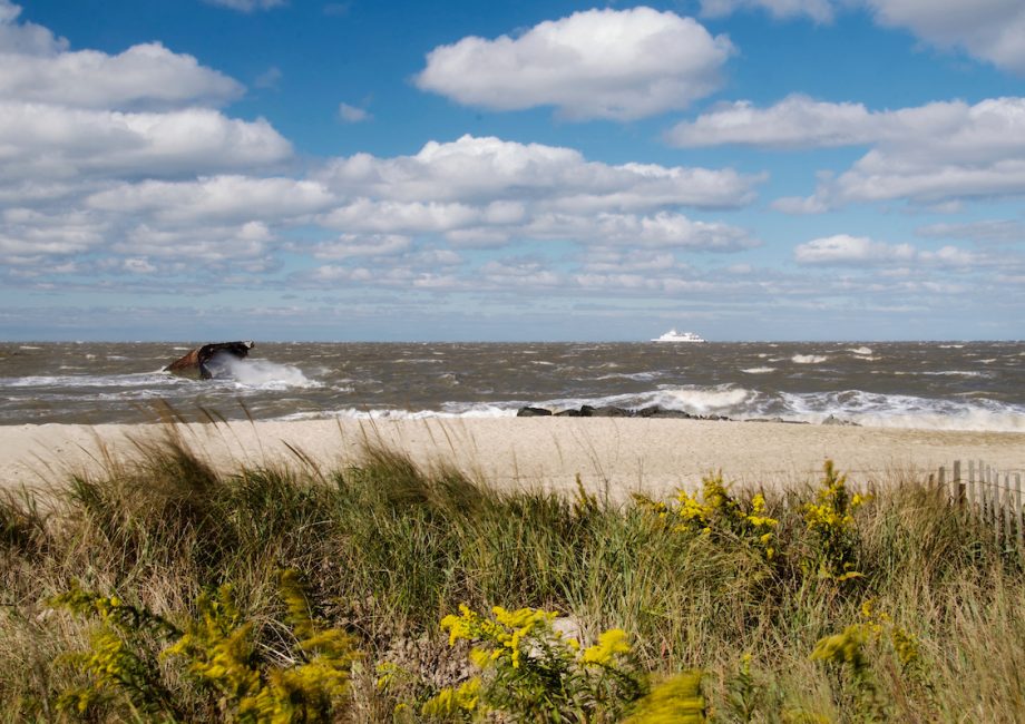 Cape May NJ beach in the fall. The picture shows long grass blowing in the heavy winds in the foreground, with the wreckage of the SS Antlanus and a distant cruise ship in the stormy waters.