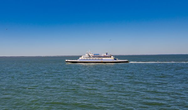The Cape May - Lewes Ferry sails on Delaware Bay with a bird seen flying in the distance.