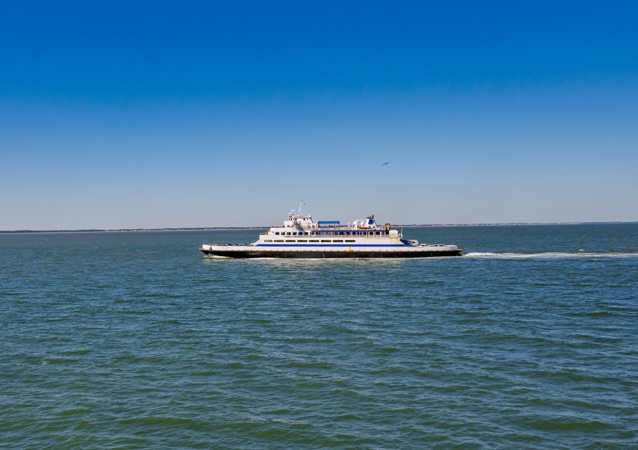 The Cape May - Lewes Ferry sails on Delaware Bay with a bird seen flying in the distance.